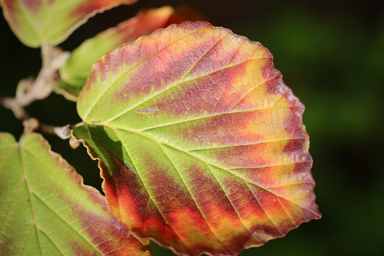 Crafts to Teach Kids about the Importance of Earth Day